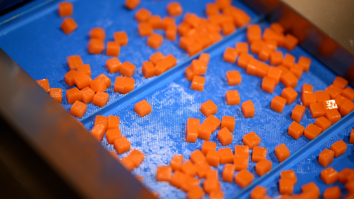 Gummy and powder packaging options