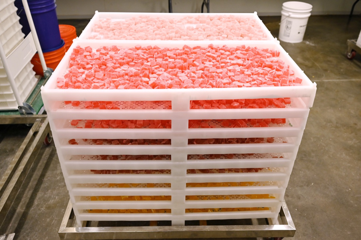 Private label vitamin gummies
